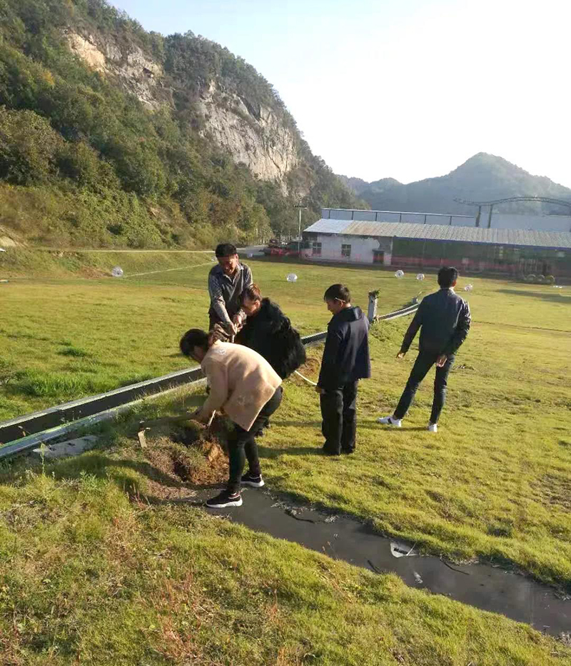 &#19975;&#35937;&#22478;&#22312;&#32447;&#30331;&#24405;&#32;&#45;&#32;&#19975;&#35937;&#22478;&#65288;&#20013;&#22269;&#65289;&#45;&#19975;&#35937;&#22478;&#65288;&#20013;&#22269;&#65289;