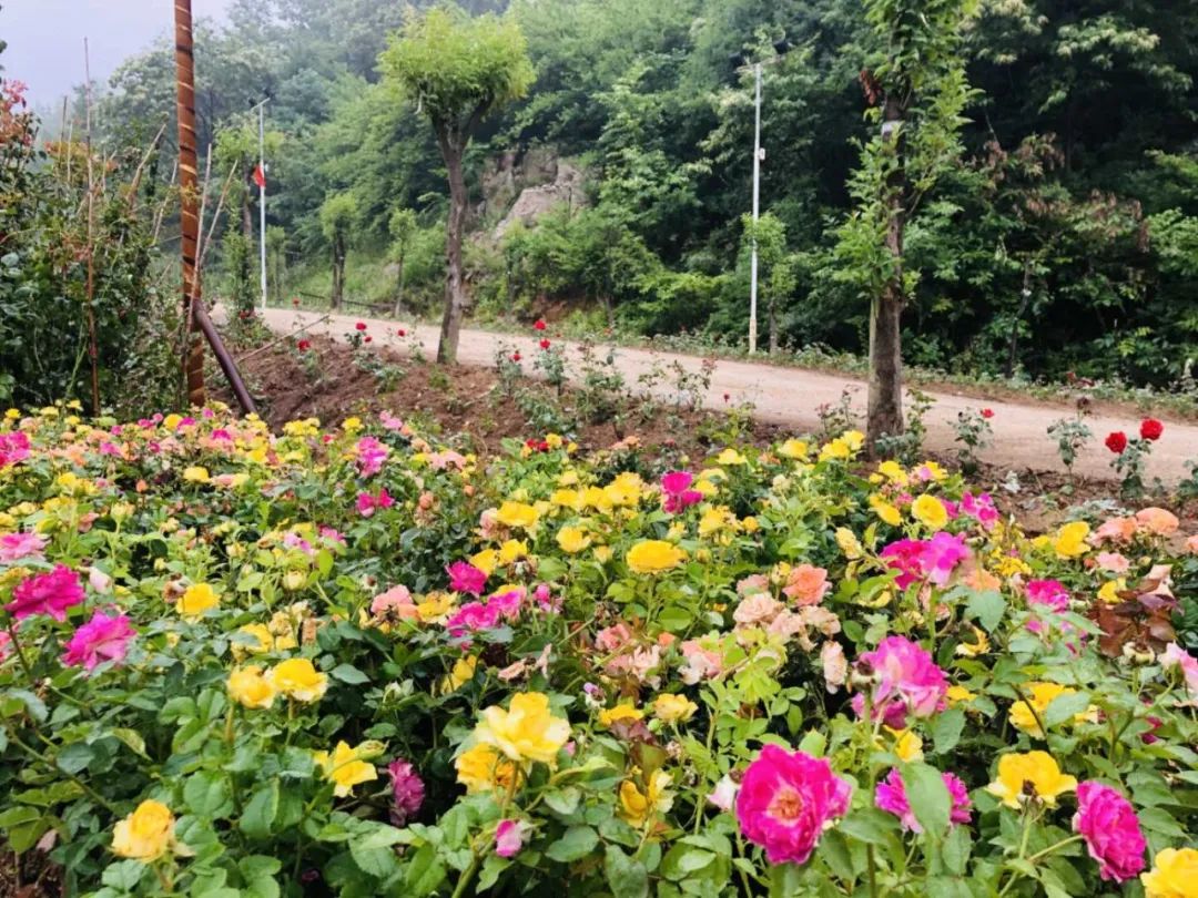 &#19975;&#35937;&#22478;&#22312;&#32447;&#30331;&#24405;&#32;&#45;&#32;&#19975;&#35937;&#22478;&#65288;&#20013;&#22269;&#65289;&#45;&#19975;&#35937;&#22478;&#65288;&#20013;&#22269;&#65289;