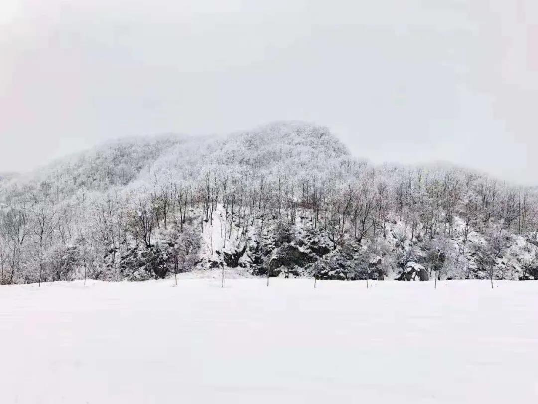 &#19975;&#35937;&#22478;&#22312;&#32447;&#30331;&#24405;&#32;&#45;&#32;&#19975;&#35937;&#22478;&#65288;&#20013;&#22269;&#65289;&#45;&#19975;&#35937;&#22478;&#65288;&#20013;&#22269;&#65289;
