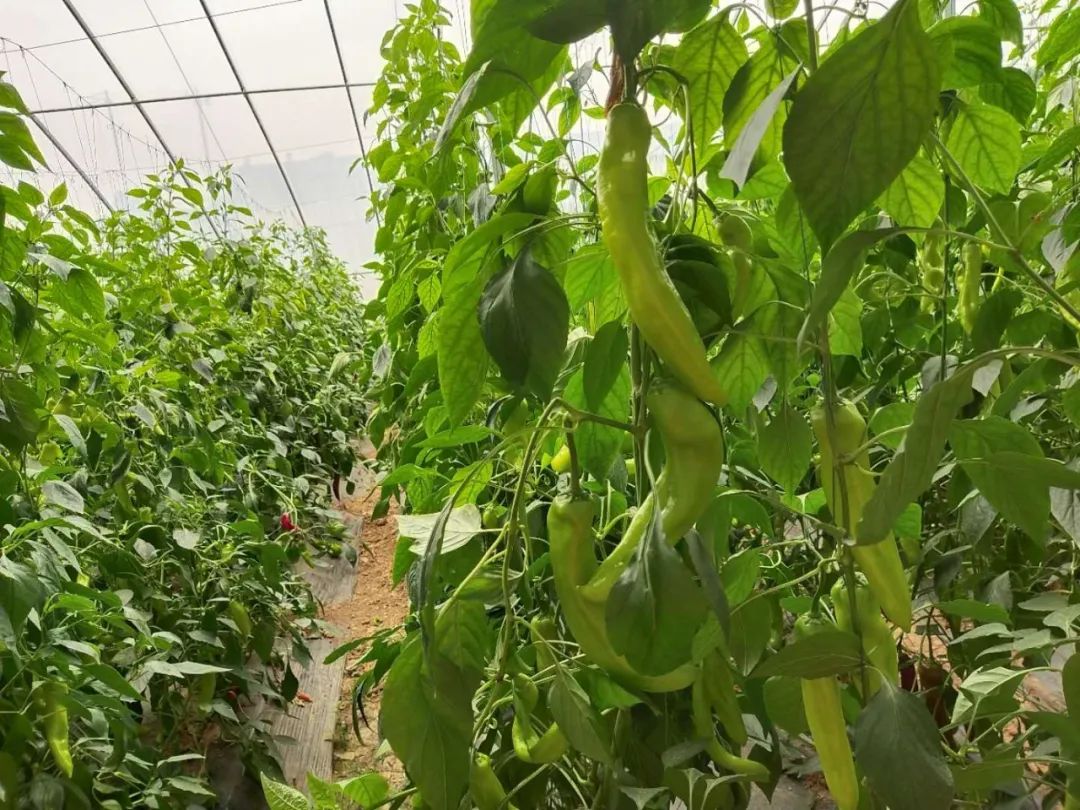 &#19975;&#35937;&#22478;&#22312;&#32447;&#30331;&#24405;&#32;&#45;&#32;&#19975;&#35937;&#22478;&#65288;&#20013;&#22269;&#65289;&#45;&#19975;&#35937;&#22478;&#65288;&#20013;&#22269;&#65289;