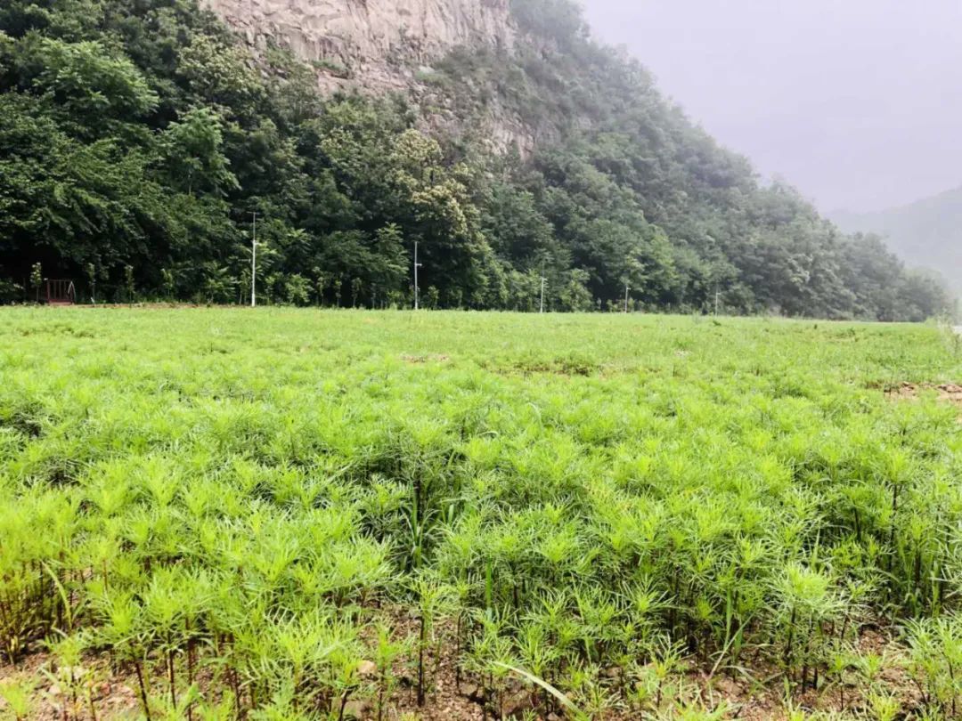 &#19975;&#35937;&#22478;&#22312;&#32447;&#30331;&#24405;&#32;&#45;&#32;&#19975;&#35937;&#22478;&#65288;&#20013;&#22269;&#65289;&#45;&#19975;&#35937;&#22478;&#65288;&#20013;&#22269;&#65289;