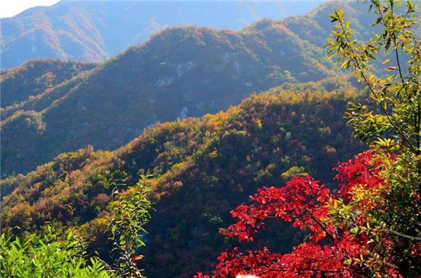 &#19975;&#35937;&#22478;&#22312;&#32447;&#30331;&#24405;&#32;&#45;&#32;&#19975;&#35937;&#22478;&#65288;&#20013;&#22269;&#65289;&#45;&#19975;&#35937;&#22478;&#65288;&#20013;&#22269;&#65289;