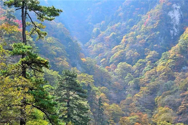 &#19975;&#35937;&#22478;&#22312;&#32447;&#30331;&#24405;&#32;&#45;&#32;&#19975;&#35937;&#22478;&#65288;&#20013;&#22269;&#65289;&#45;&#19975;&#35937;&#22478;&#65288;&#20013;&#22269;&#65289;