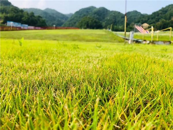 &#19975;&#35937;&#22478;&#22312;&#32447;&#30331;&#24405;&#32;&#45;&#32;&#19975;&#35937;&#22478;&#65288;&#20013;&#22269;&#65289;&#45;&#19975;&#35937;&#22478;&#65288;&#20013;&#22269;&#65289;