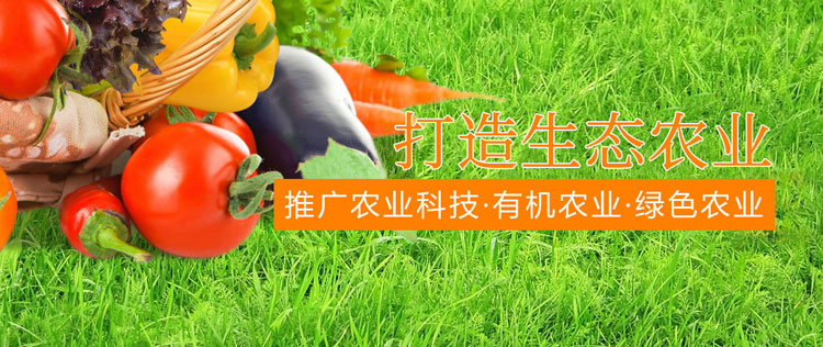 &#19975;&#35937;&#22478;&#22312;&#32447;&#30331;&#24405;&#32;&#45;&#32;&#19975;&#35937;&#22478;&#65288;&#20013;&#22269;&#65289;&#45;&#19975;&#35937;&#22478;&#65288;&#20013;&#22269;&#65289;