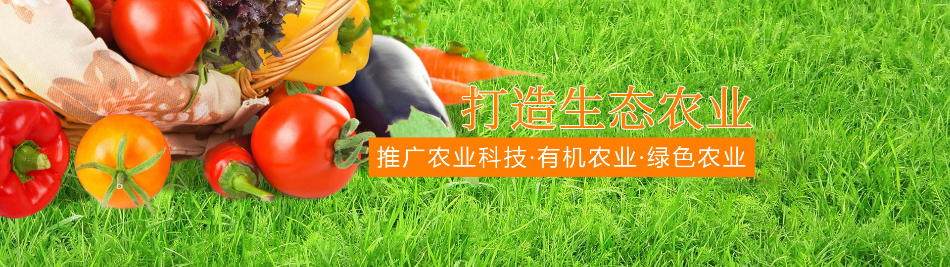 &#19975;&#35937;&#22478;&#22312;&#32447;&#30331;&#24405;&#32;&#45;&#32;&#19975;&#35937;&#22478;&#65288;&#20013;&#22269;&#65289;&#45;&#19975;&#35937;&#22478;&#65288;&#20013;&#22269;&#65289;