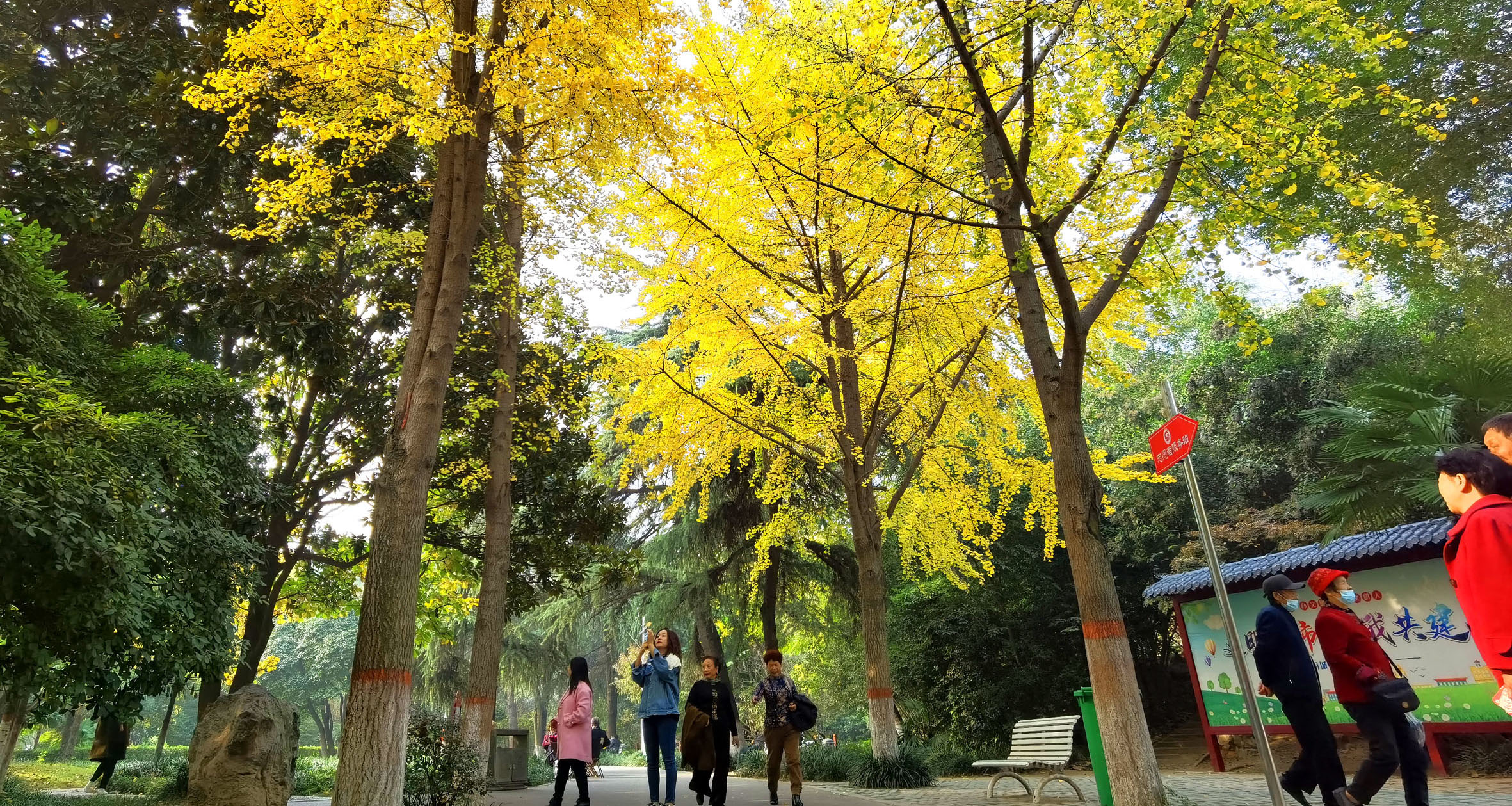 &#19975;&#35937;&#22478;&#22312;&#32447;&#30331;&#24405;&#32;&#45;&#32;&#19975;&#35937;&#22478;&#65288;&#20013;&#22269;&#65289;&#45;&#19975;&#35937;&#22478;&#65288;&#20013;&#22269;&#65289;